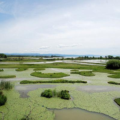 Riserva Naturale Isola della Cona