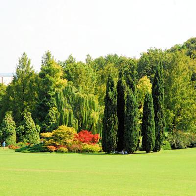 Parco Giardino Sigurtà