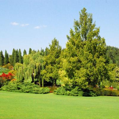 Parco Giardino Sigurtà