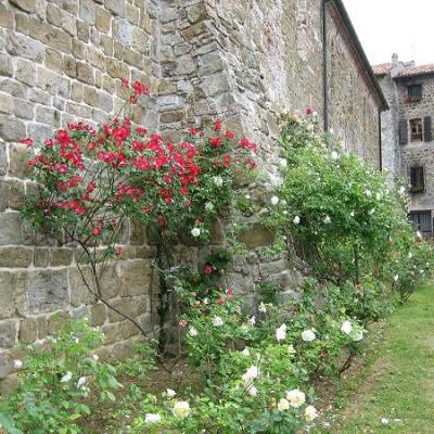 Abbazia Corno di Rosazzo