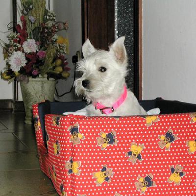 Lamu 01